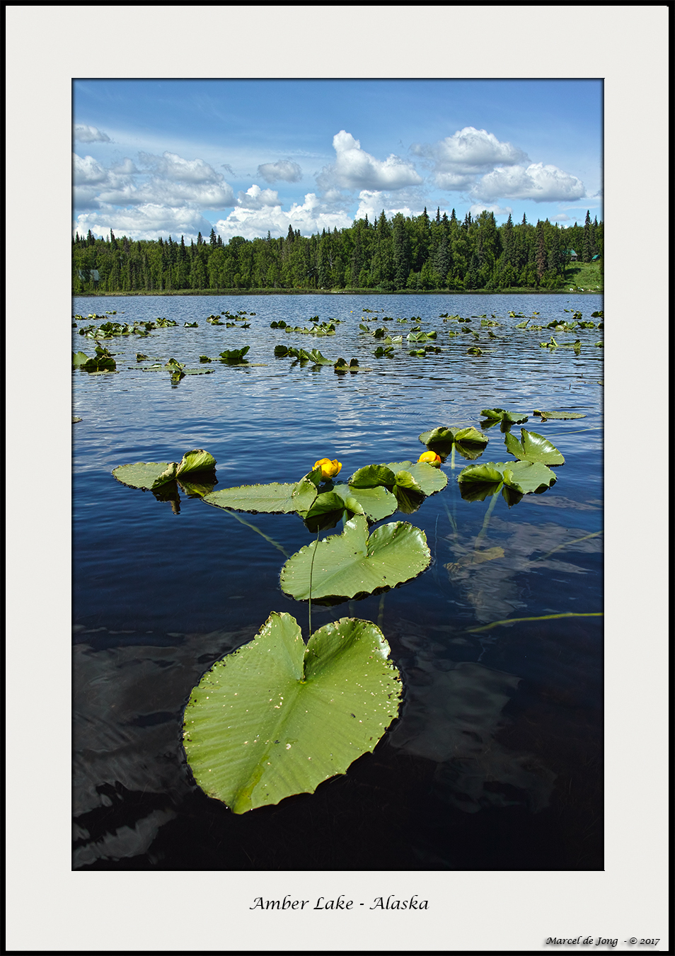 Amber Lake