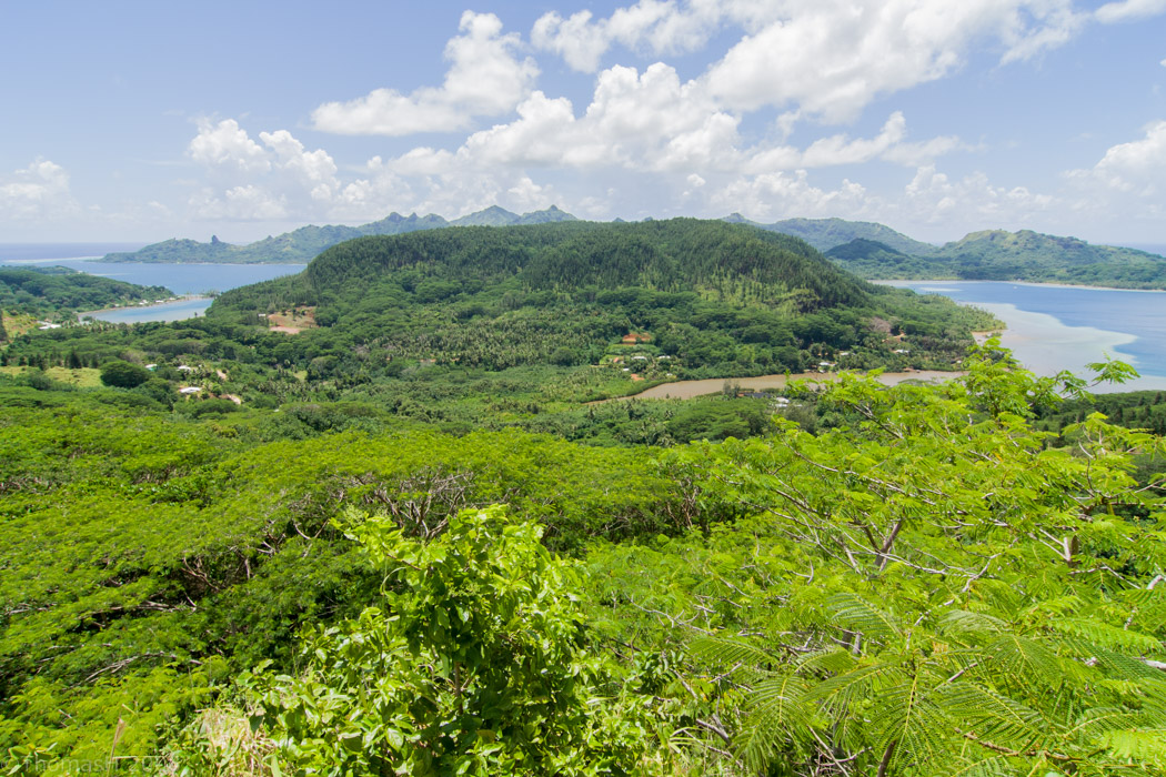 0962 Lookout Point in Parc Eden