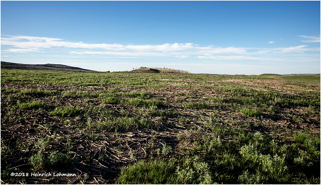 K319557-Ranchland.jpg