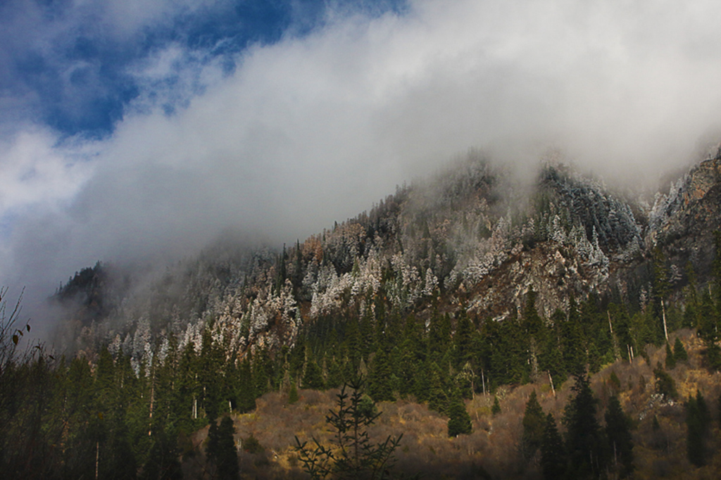 Snow Storm on the way