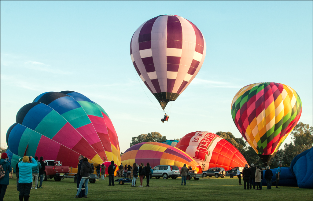 Balloons Aloft