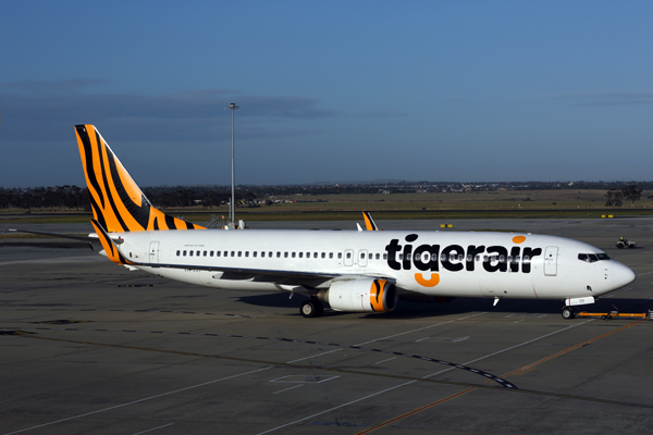 TIGERAIR BOEIUNG 737 800 MEL RF 5K5A3233.jpg