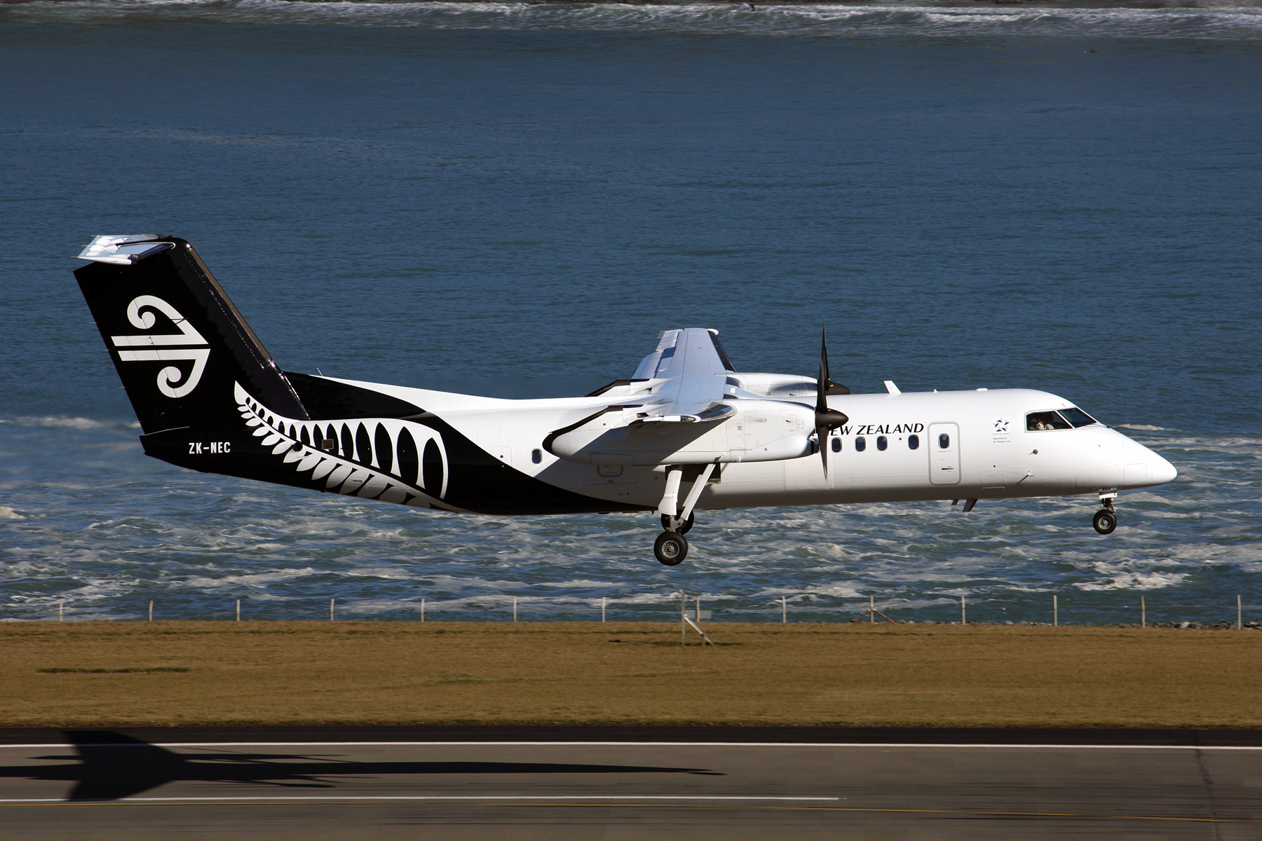 AIR NEW ZEALAND DASH 8 300 WLG RF 5K5A9135.jpg