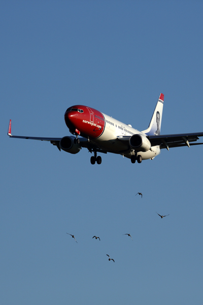 NORWEGIAN_BOEING_737_800_CPH_RF_5K5A9920.jpg