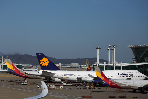 ASIANA_LUFTHANS_AIRCRAFT_ICN_RF_5K5A8225.jpg