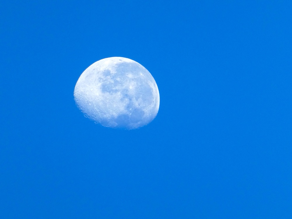  The Moon is Blue