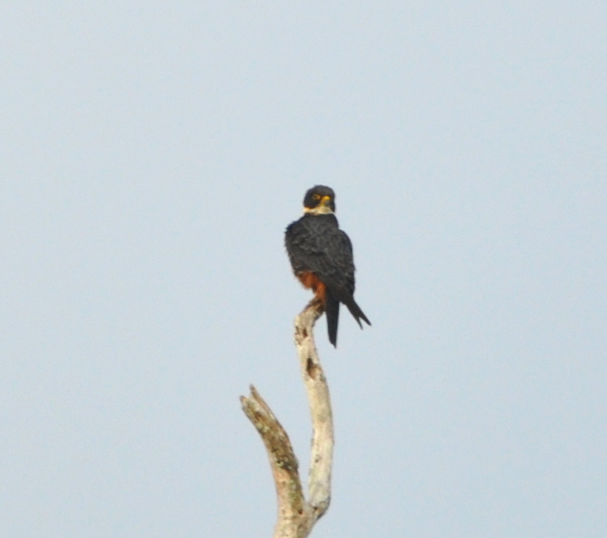 DSC_0107b.JPG