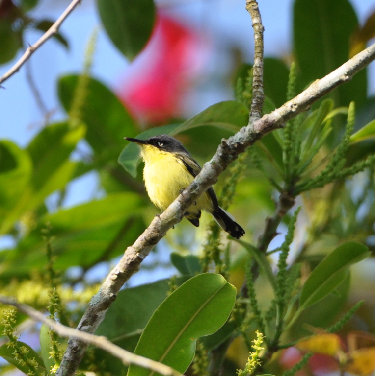 DSC_0327b.JPG