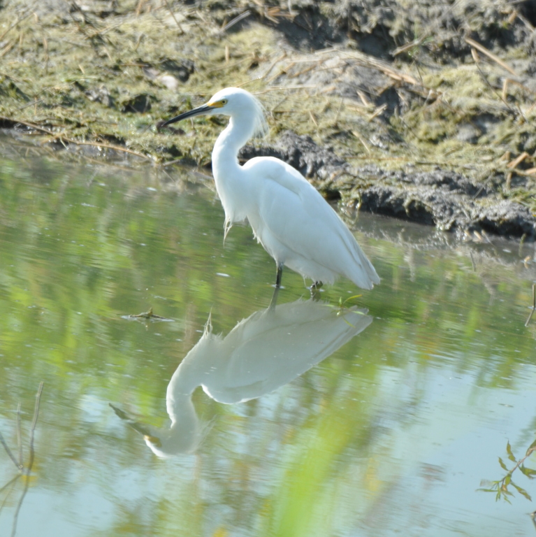 DSC_0489b.JPG