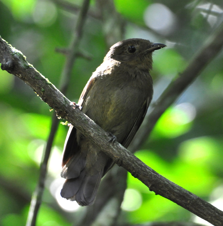 DSC_0088b.JPG
