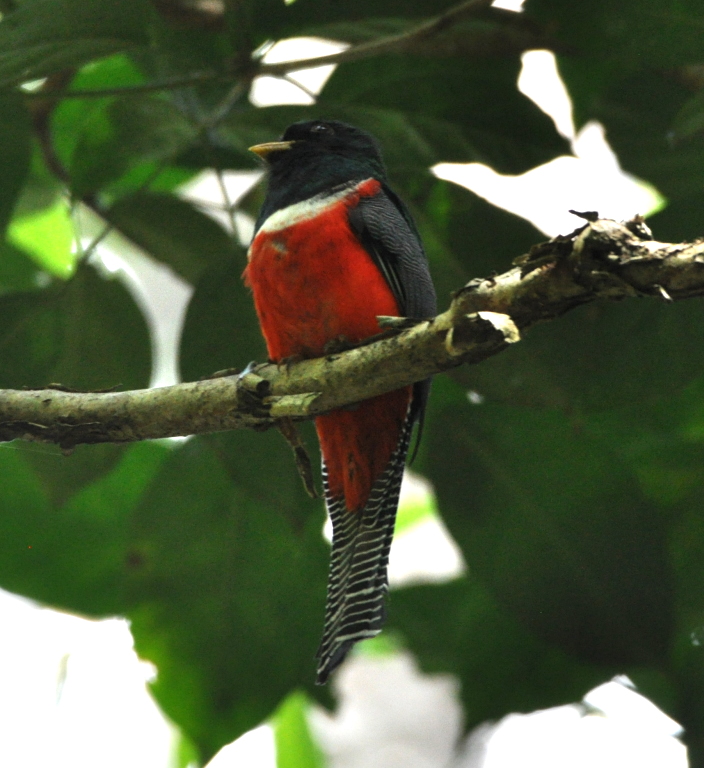 DSC_0383b.JPG