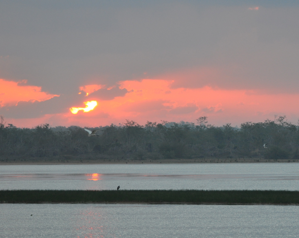 DSC_0007b.JPG