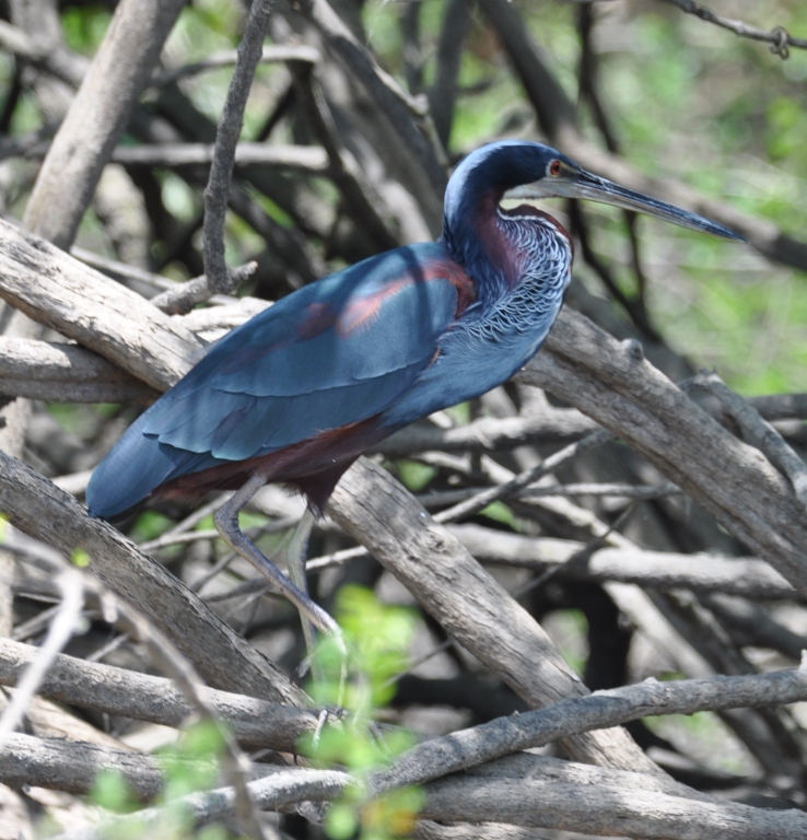 DSC_0135b.JPG