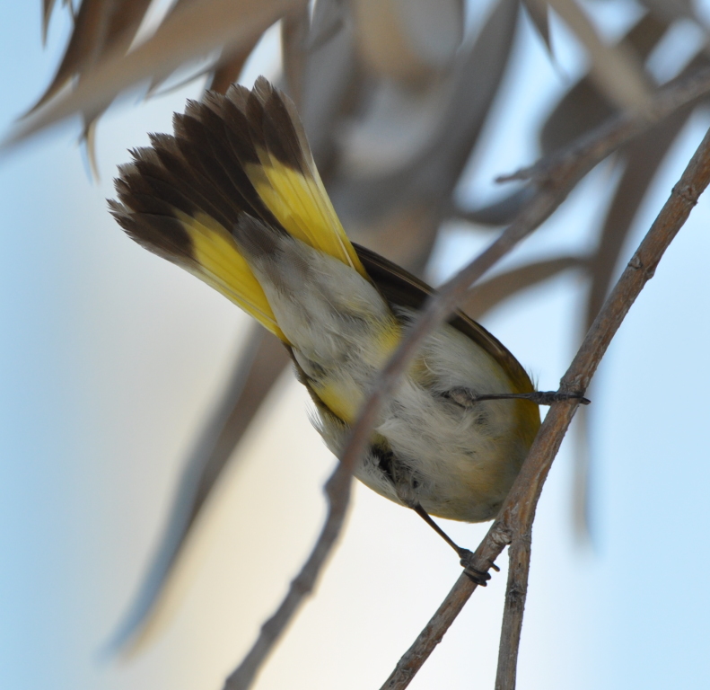 DSC_0256b.JPG