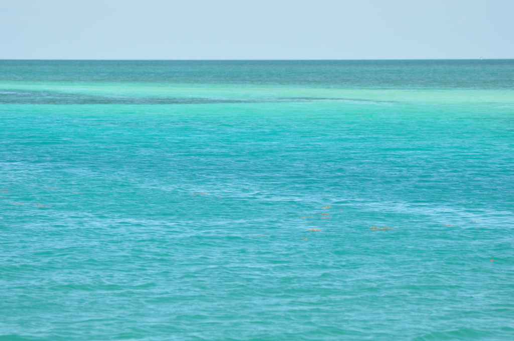 DSC_0326b.JPG