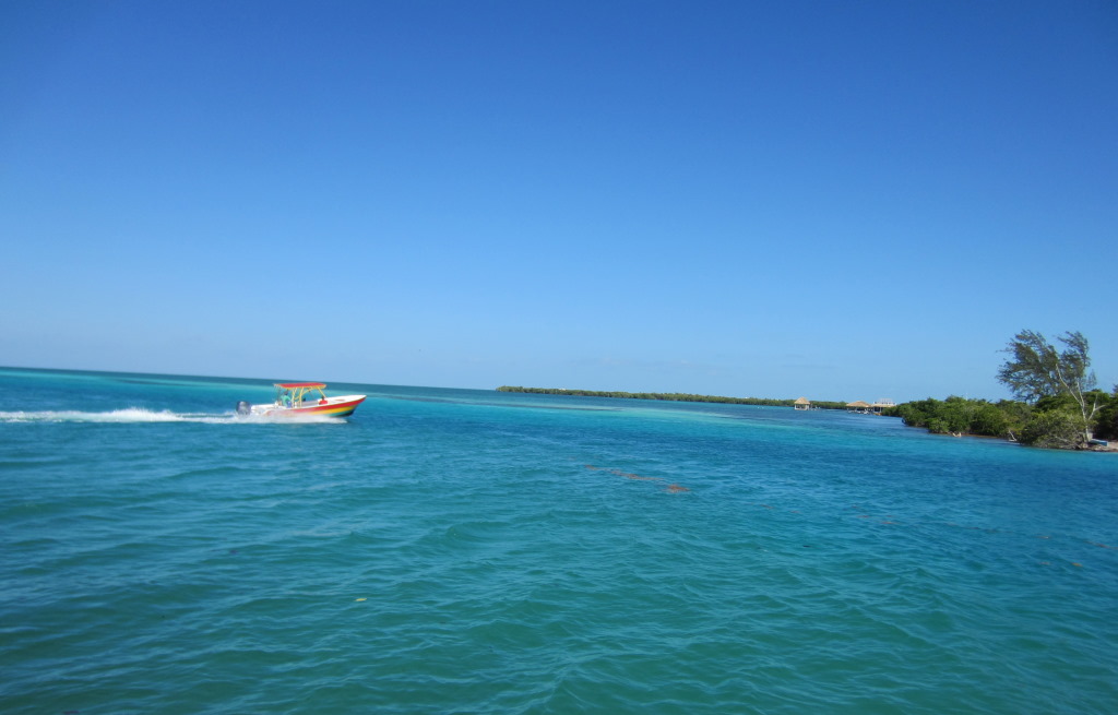 IMG_6786b.JPG