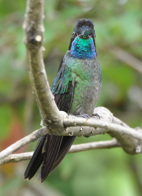 DSC_1120b.JPG