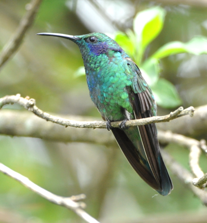 DSC_1201b.JPG