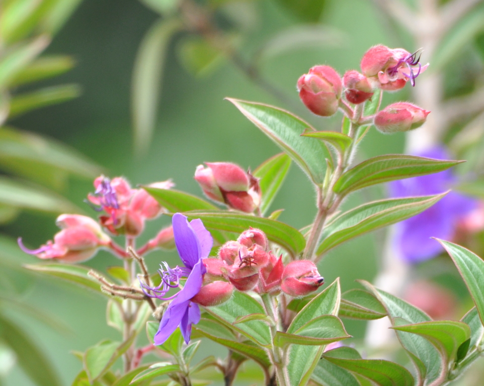 DSC_1214b.JPG