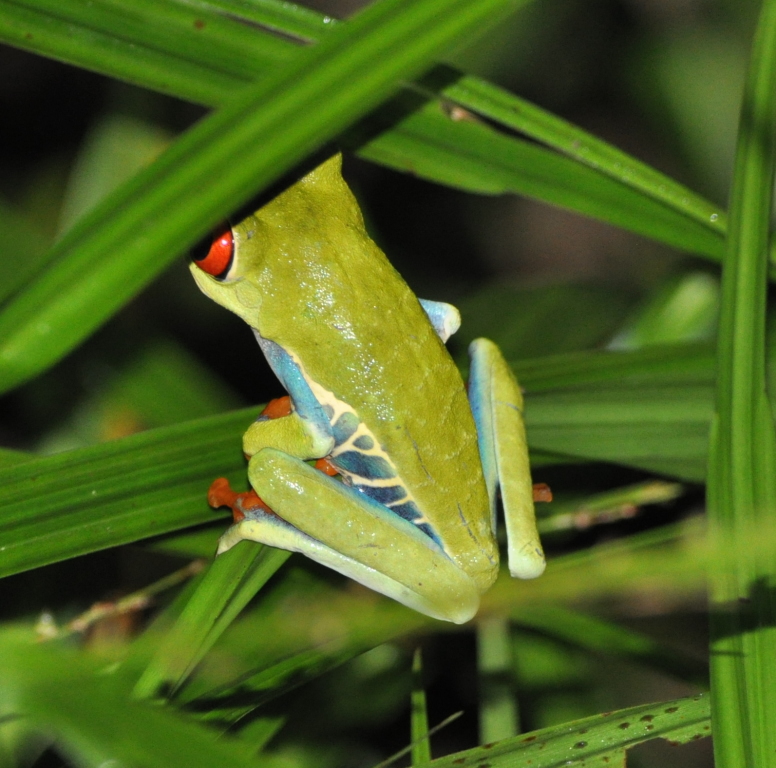 DSC_0708b.JPG