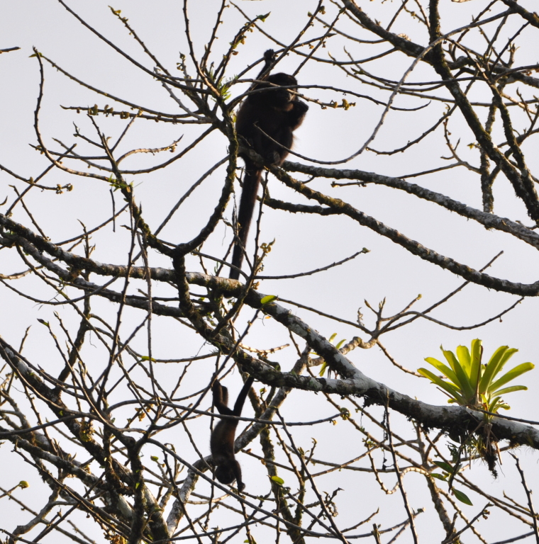 DSC_0399b.JPG