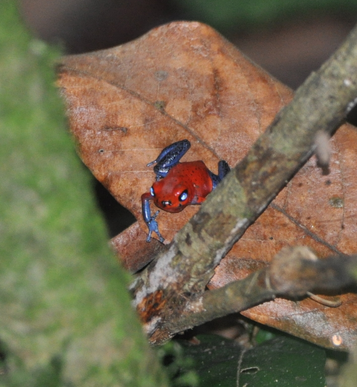 DSC_0815b.JPG