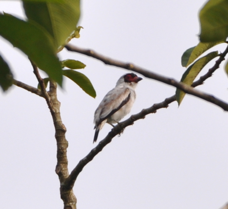 DSC_0840b.JPG