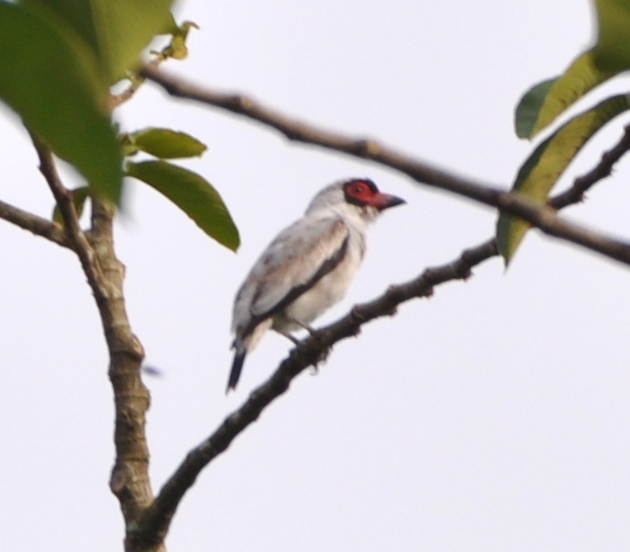 DSC_0843b.JPG