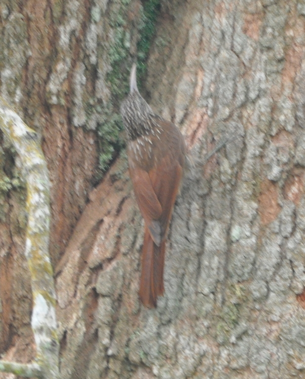 DSC_0143b.JPG