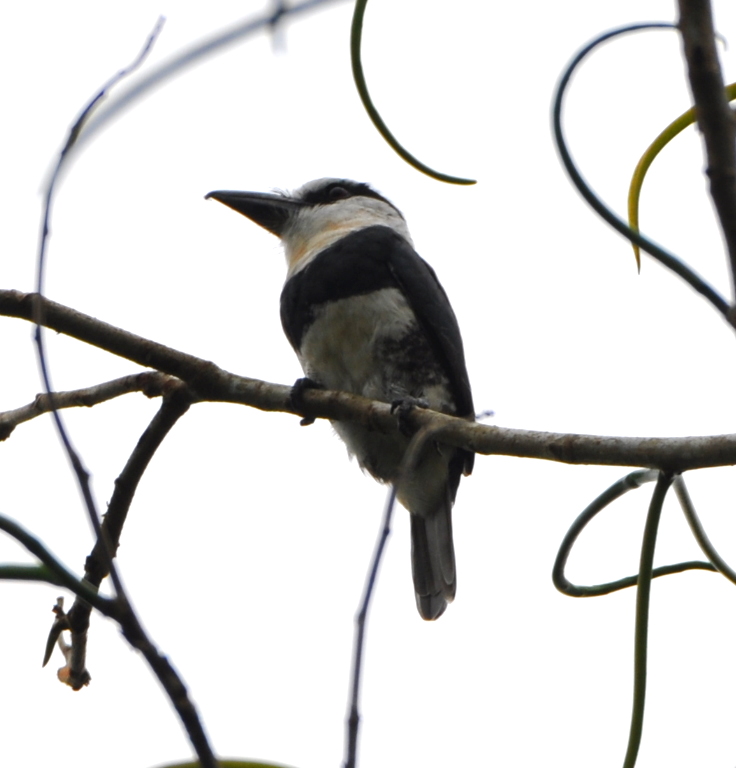 DSC_0234b.JPG