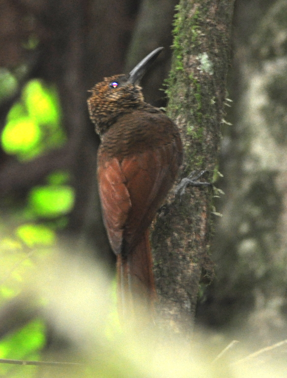 DSC_0312b.JPG