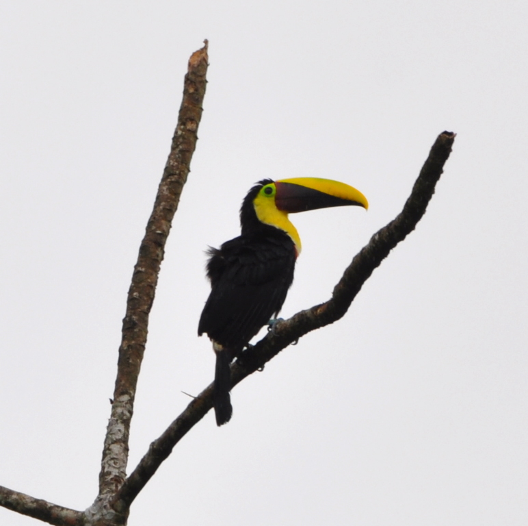 DSC_0386b.JPG