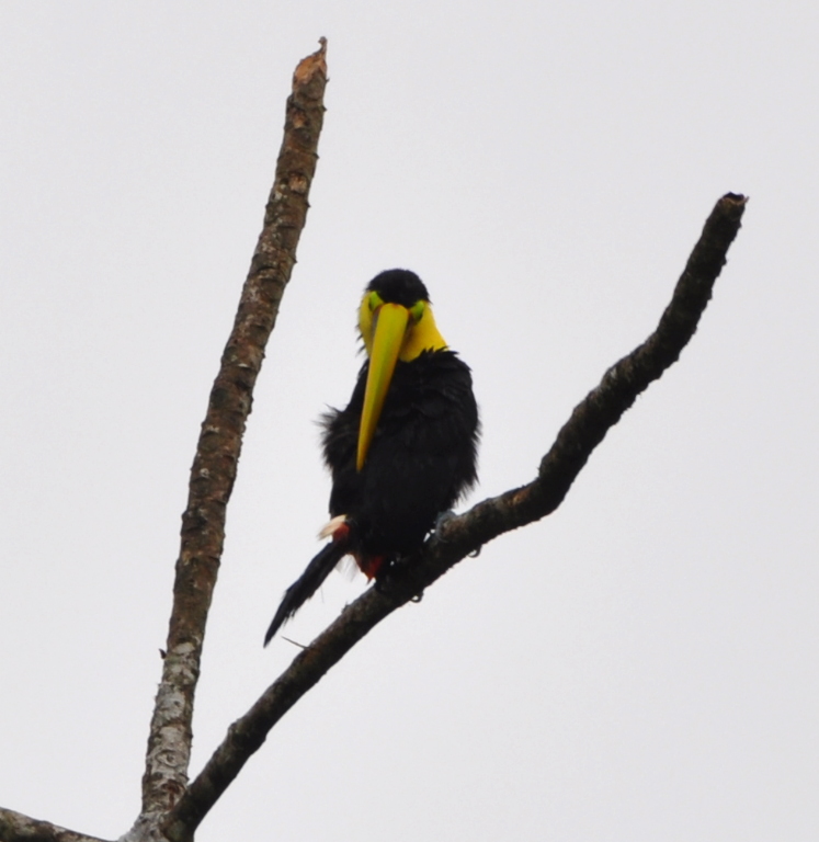 DSC_0389b.JPG