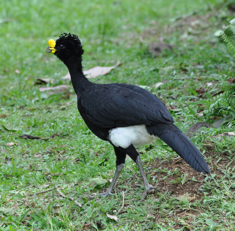 DSC_0093b.JPG