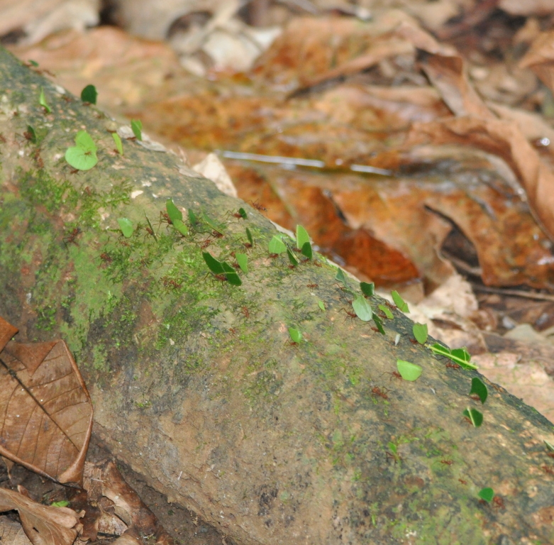 DSC_0173b.JPG