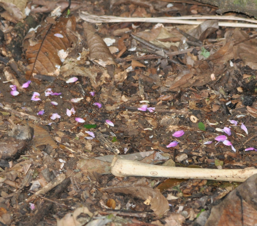 DSC_0187b.JPG