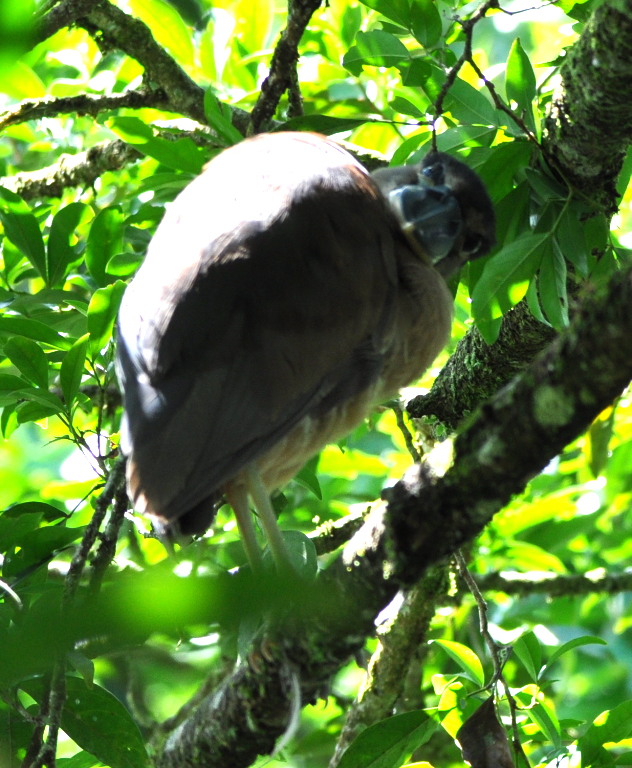 DSC_0743b.JPG