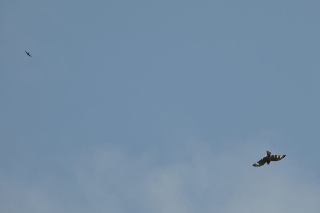 DSC_0145b.JPG