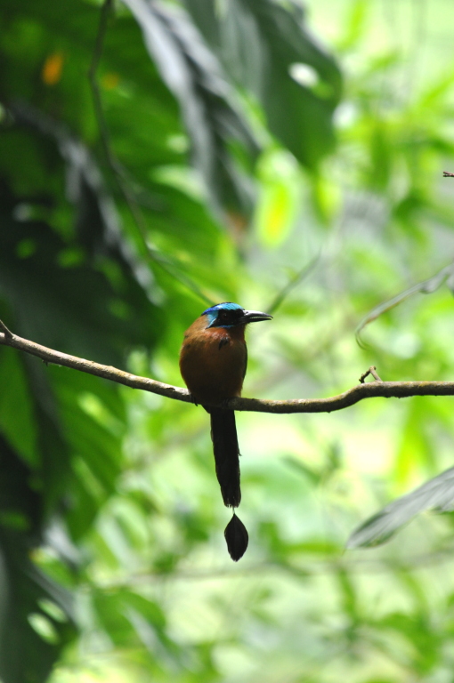 DSC_0305b.JPG