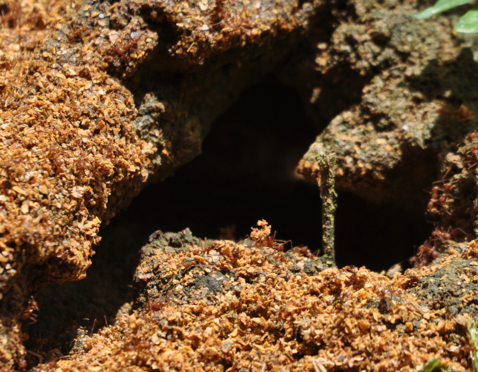 DSC_0402b.JPG
