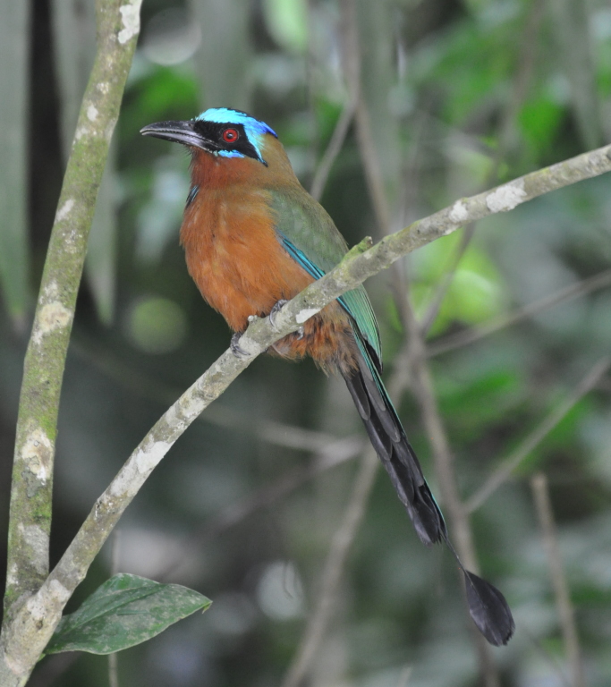 DSC_0418b.JPG