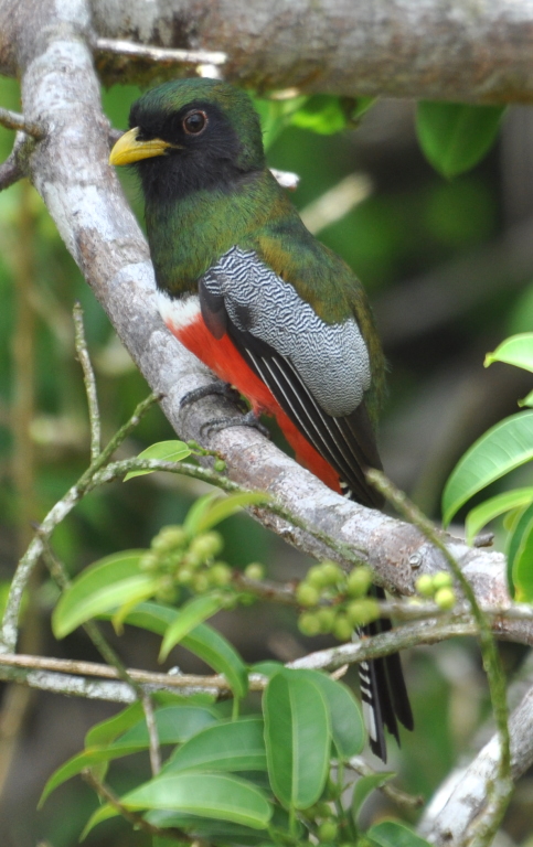 DSC_0652b.JPG