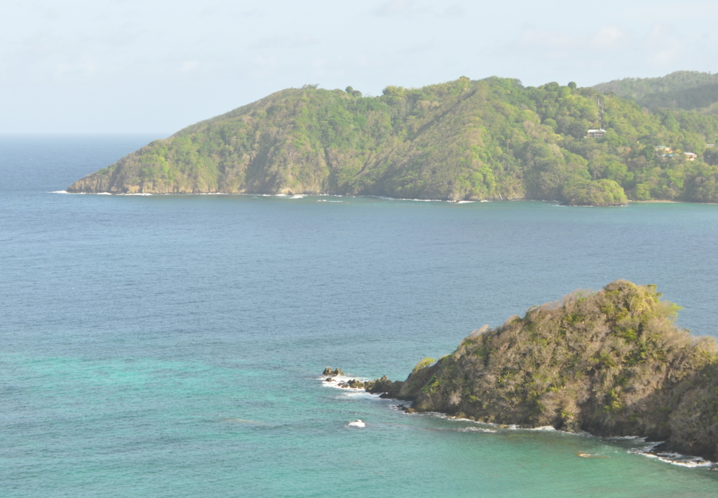 DSC_0824b.JPG