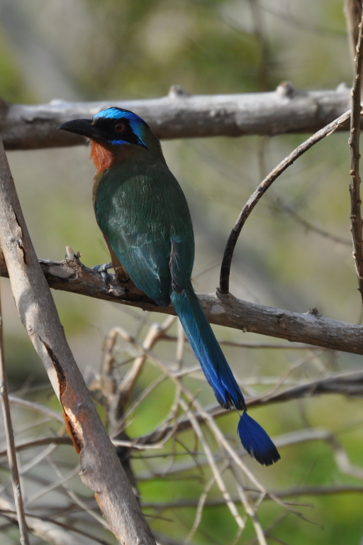 DSC_0152b.JPG