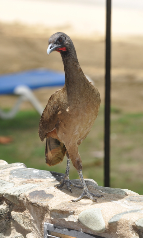 DSC_0607b.JPG