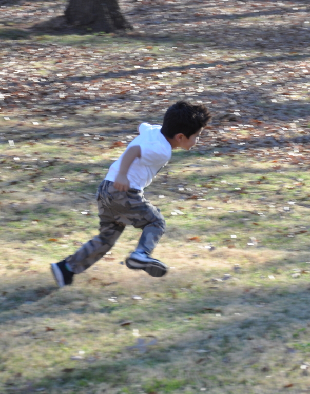 DSC_1978b.JPG