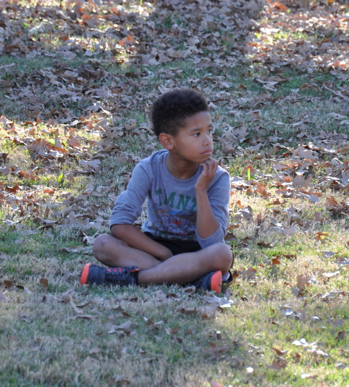 DSC_1982b.JPG