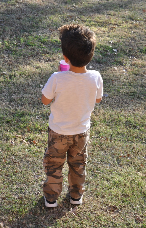 DSC_2022b.JPG