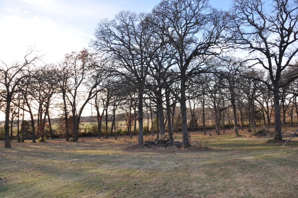 DSC_2082b.JPG