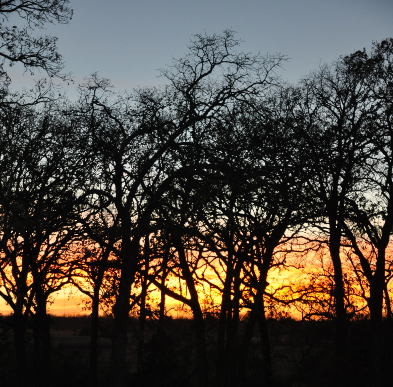 DSC_2146b.JPG